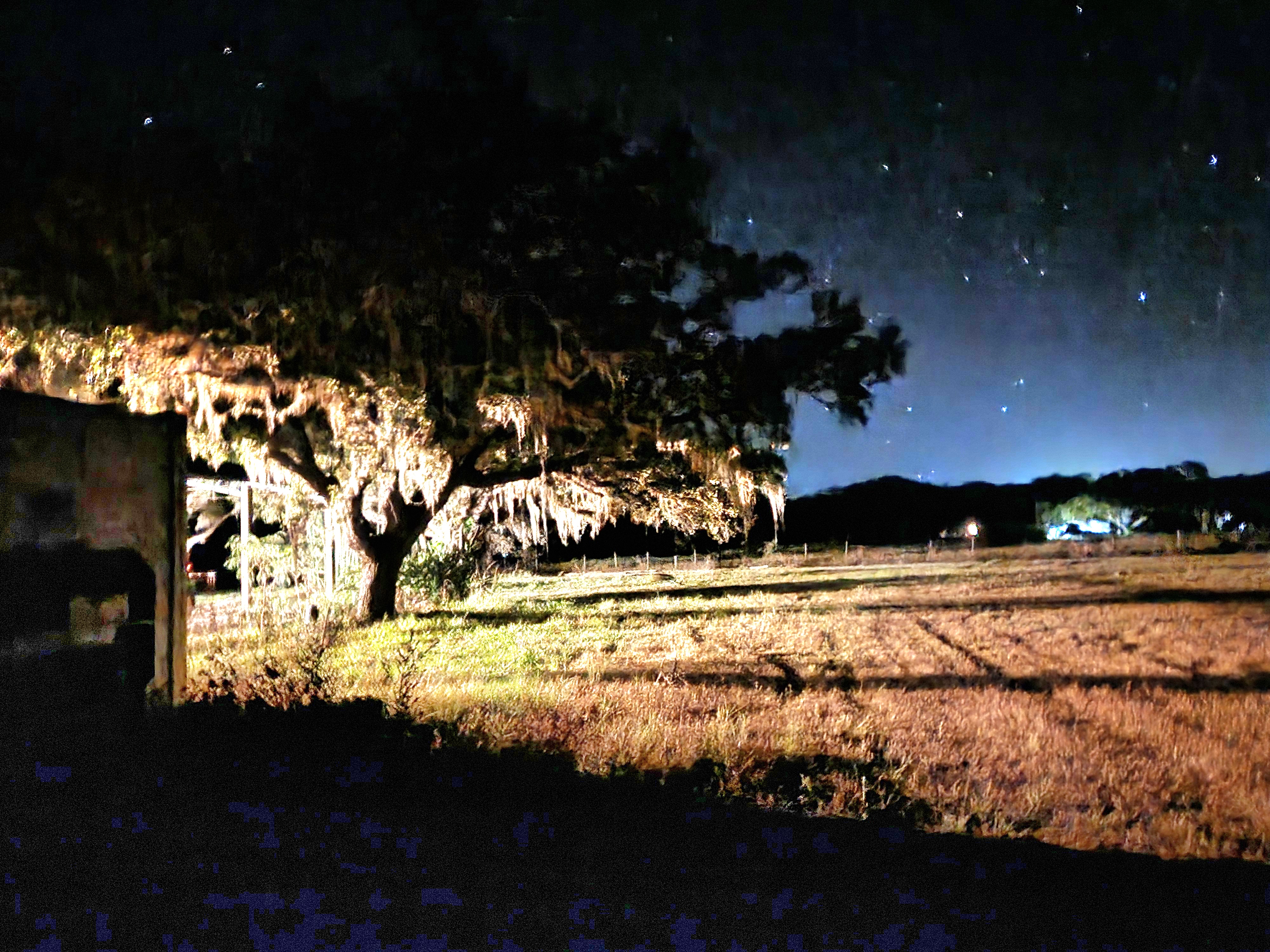 Family Orchards at night